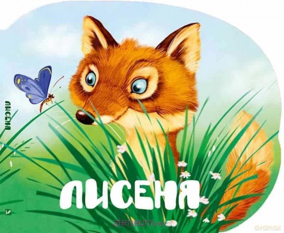 A Baby Fox w.ukraińska - M.S. Zhuchenko [KSIĄŻKA]