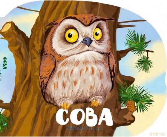 A Baby Owl w.ukraińska - M.S. Zhuchenko [KSIĄŻKA]