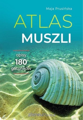 Atlas muszli. Opisy 180 gatunków - Maja Prusińska [KSIĄŻKA]