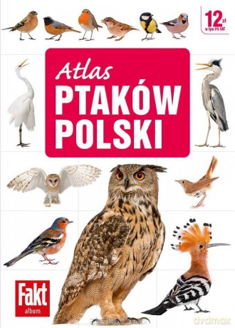 Atlas ptaków Polski - Magdalena Janiszewska, Radosław włodarczyk [KSIĄŻKA]