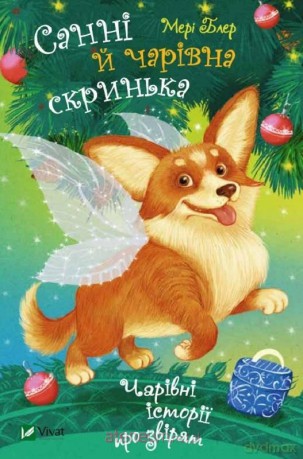 Sunny and the magic box w. ukraińska - Blair Mary [KSIĄŻKA]