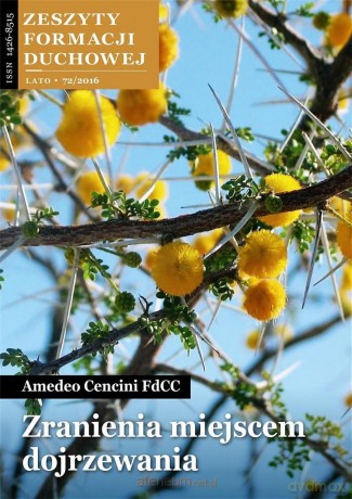 Zeszyty Formacji Duchowej nr 72 Zranienia miejscem - Amedeo Cencini FdCC [KSIĄŻKA]