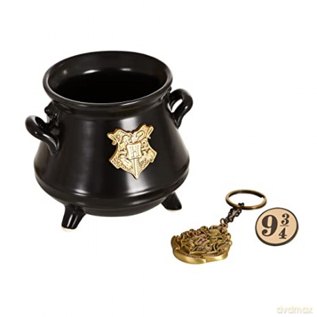 HARRY POTTER - Pck premium 3D mug+3D Keychain+Pin Hogwarts' suitcase