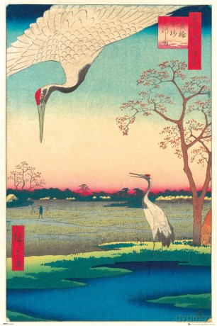 HIROSHIGE - Poster Maxi 91.5x61 - Minowa at Mikawashima EXCLU KARIM
