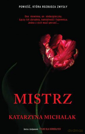 Mistrz - Katarzyna Michalak [KSIĄŻKA]