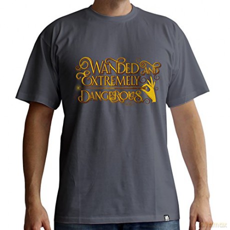 FANTASTIC BEASTS - Tshirt Wanded man SS dark grey - basic