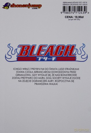 Bleach (Tom 24) - Tide Kubo [KSIĄŻKA]