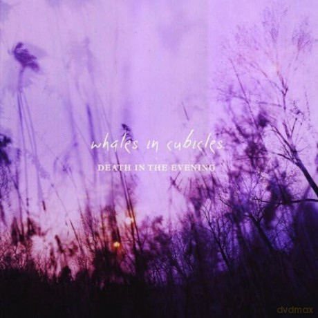 Whales In Cubicles: Death In The Evening [CD]
