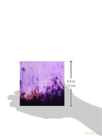Whales In Cubicles: Death In The Evening [CD]