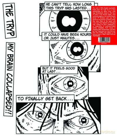Tryp: My Brain Collapsed [Winyl]