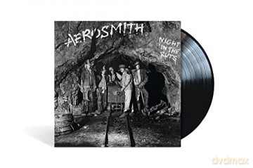 Aerosmith: Night In The Ruts [Winyl]
