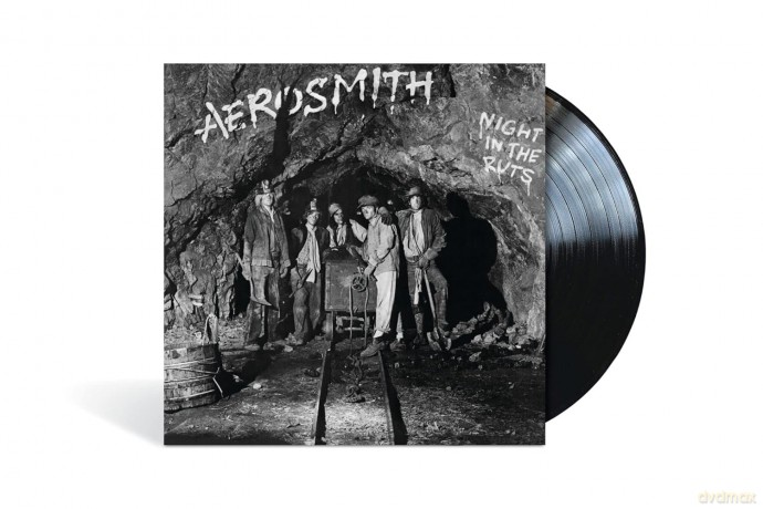Aerosmith: Night In The Ruts [Winyl]