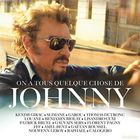 On A Tous Quelque Chose De Johnny [2xWinyl]