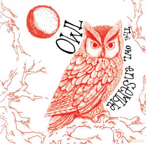 Owl Ensemble: Owl [CD]