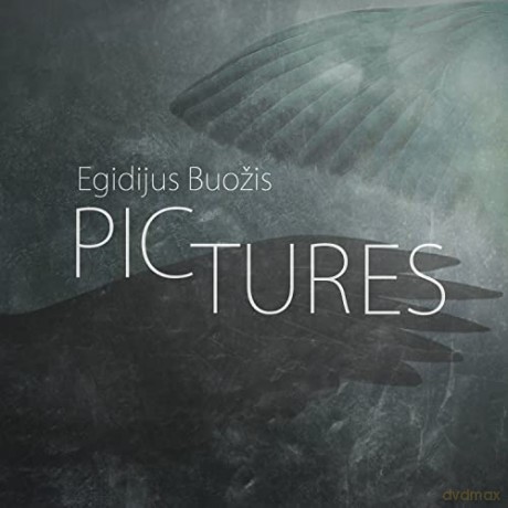 Egidijus Buozis: Pictures [CD]