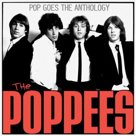 Poppees: Pop Goes The Anthology [Winyl]