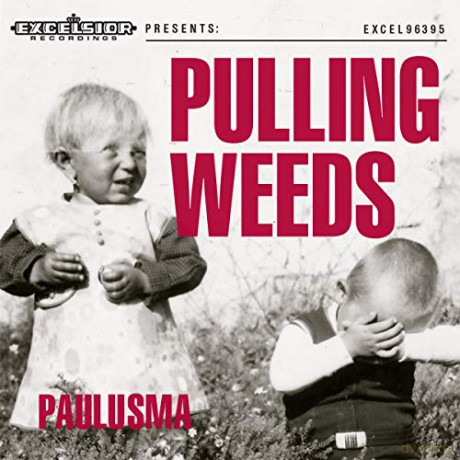 Paulusma: Pulling Weeds [CD]