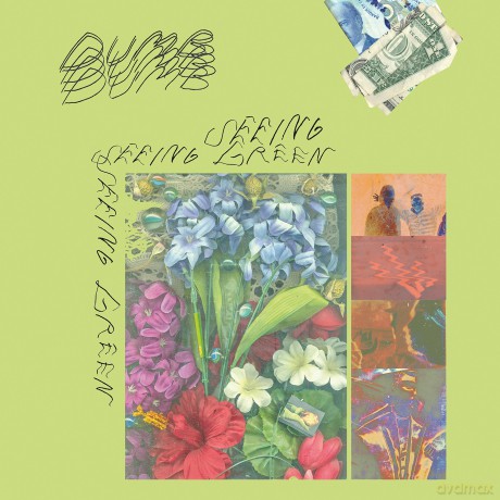 Dumb: Seeing Green [CD]