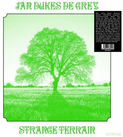 Jan Dukes De Grey: Strange Terrain [Winyl]