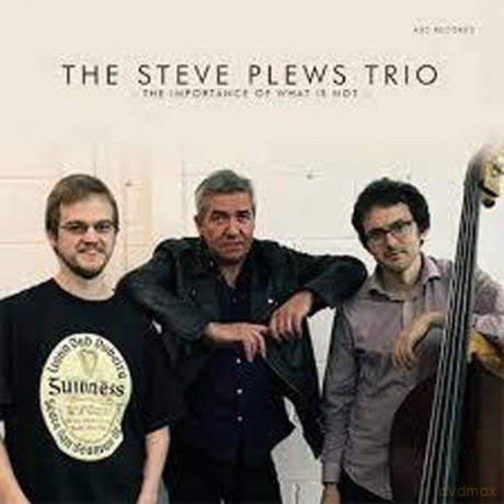 Steve Plews Trio: The Importance Of What Is Not [CD]