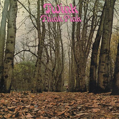 Twink: Think Pink [2CD]