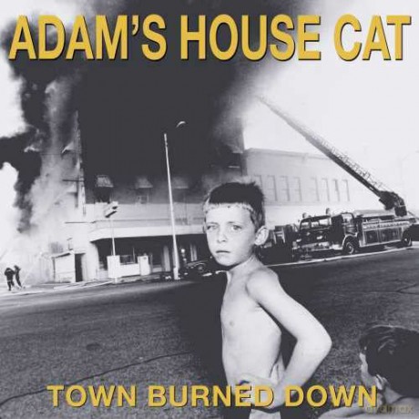 Adams House Cat: Town Burned Down [Winyl]