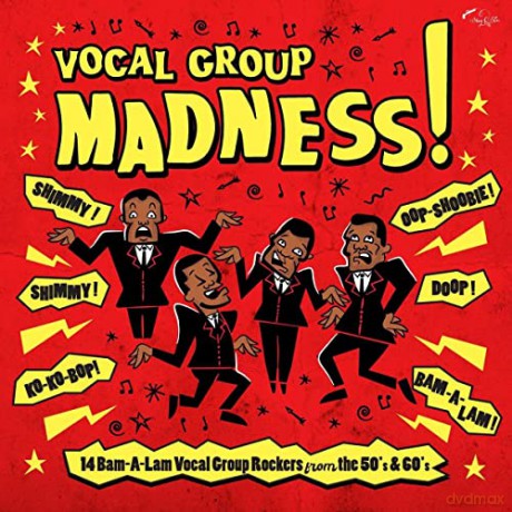 Vocal Group Madness [Winyl]