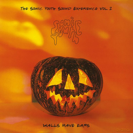 Sonic Youth: Walls Have Ears V. 2 (Hammersmith Palais. London 28Th April 1) [Winyl]