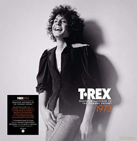 T. Rex: Whatever Happened To The Teenage Dream? (1973) (Orange) [5xWinyl]