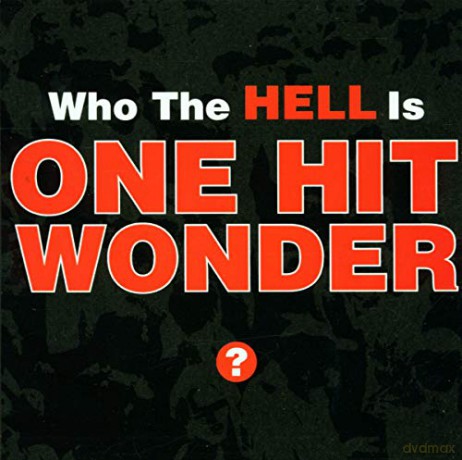 One Hit Wonder: Who The Hell Is One Hit Wonder [CD]