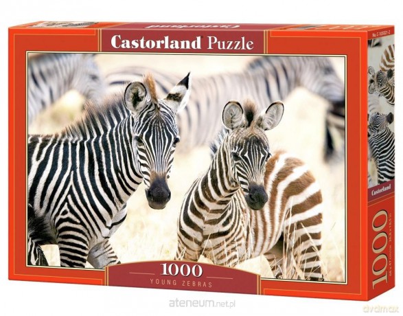 CASTORLAND 1000 el. Young Zebras [PUZZLE]