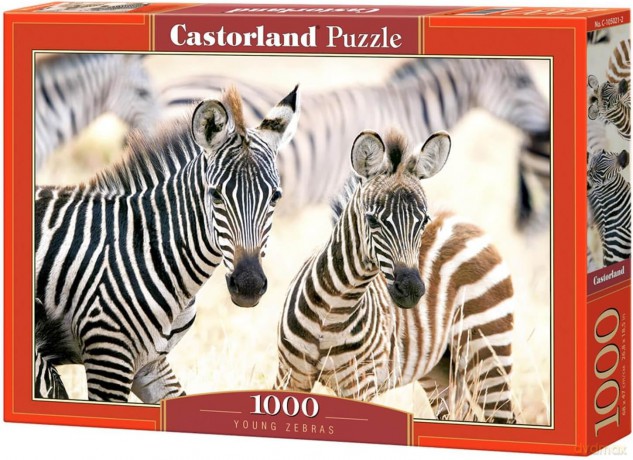 CASTORLAND 1000 el. Young Zebras [PUZZLE]