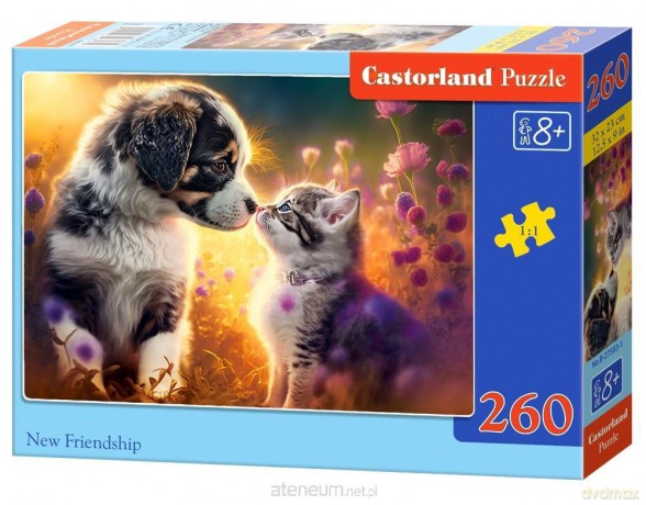 CASTORLAND 260 el. New Friendship [PUZZLE]
