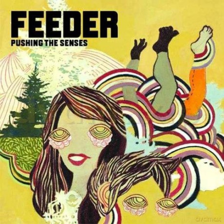 Feeder: Pushing The Senses [CD]