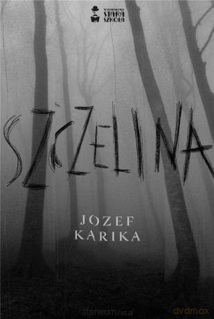 Szczelina [KSIĄŻKA]
