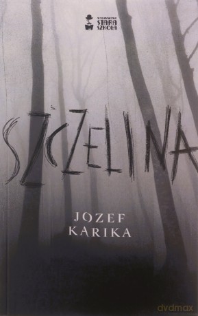 Szczelina [KSIĄŻKA]