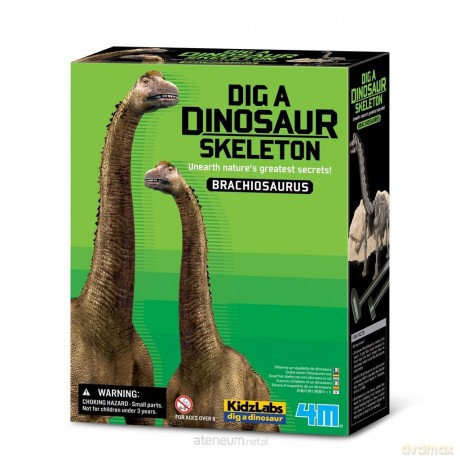 Wykopaliska Brachiosaurus