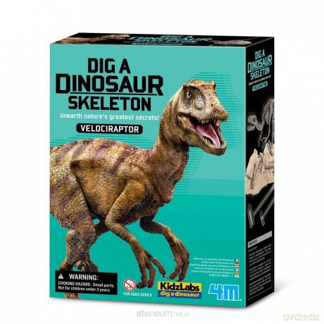 Wykopaliska Velociraptor