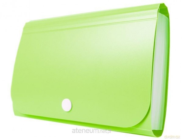 Mini organizer harmonijkowy PP zatrzask zielony
