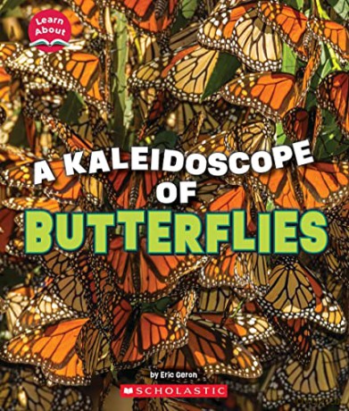 A Kaleidoscope of Butterflies - Eric Geron [KSIĄŻKA]