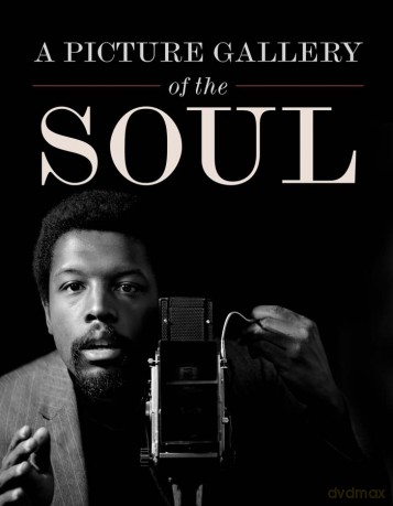 A Picture Gallery of the Soul [KSIĄŻKA]