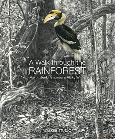 A Walk Through the Rainforest - Martin Jenkins [KSIĄŻKA]