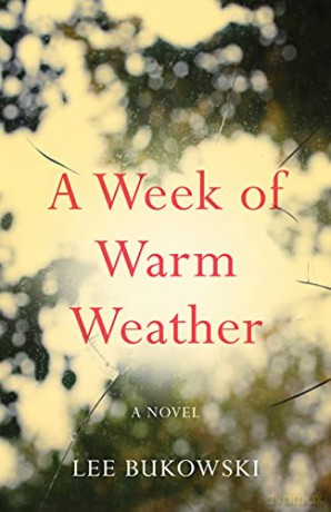 A Week of Warm Weather: A Novel [KSIĄŻKA]