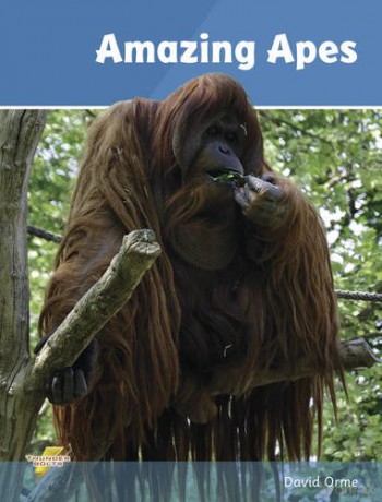 Amazing Apes: Set 2 - Orme [KSIĄŻKA]