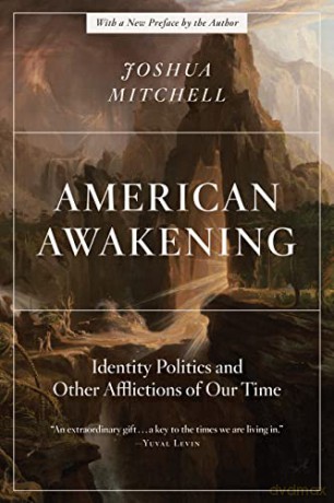American Awakening: Identity Politics and Other Afflictions of Our Time [KSIĄŻKA]