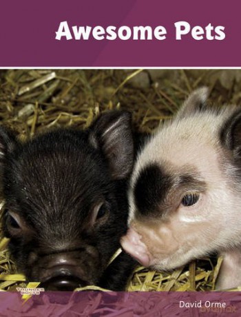 Awsome Pets: Set 3 - Orme [KSIĄŻKA]