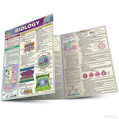 Biology - Randy Brooks [KSIĄŻKA]