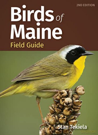 Birds of Maine Field Guide [KSIĄŻKA]