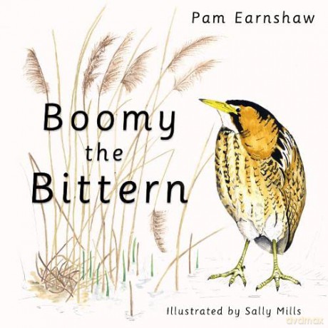 Boomy the Bittern - Pam Earnshaw [KSIĄŻKA]
