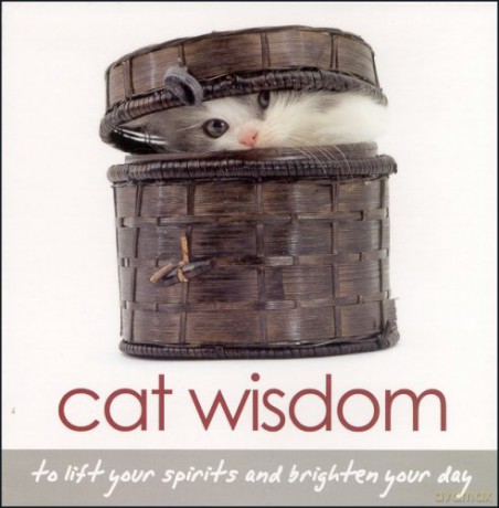 Cat Wisdom: To Lift Your Spirits and Brighten Your Day - Tanya Graham [KSIĄŻKA]